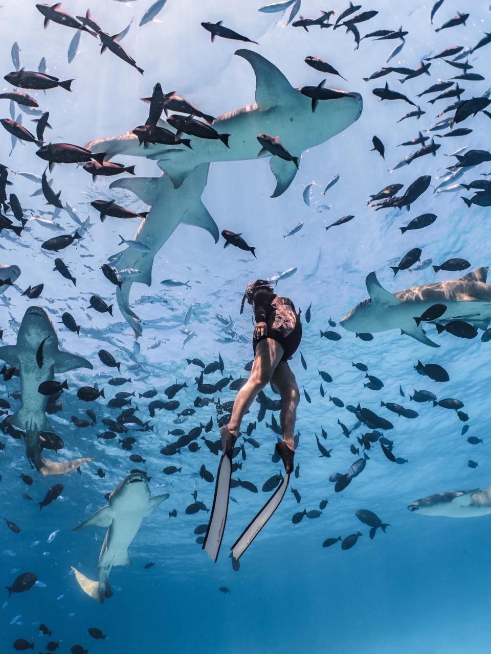 Ocean Breeze excursion in Rasdhoo Atoll