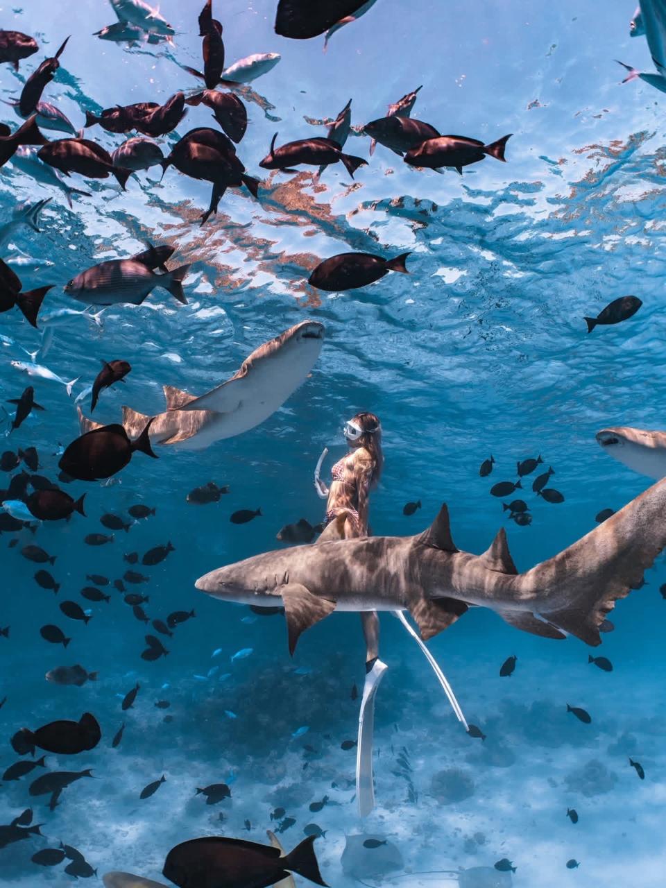 Ocean Breeze excursion in Rasdhoo Atoll
