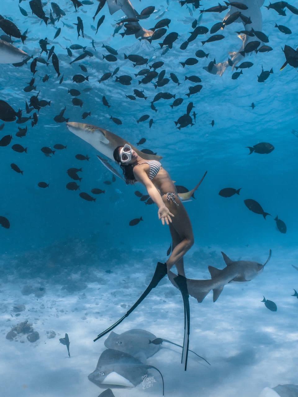 Ocean Breeze excursion in Rasdhoo Atoll
