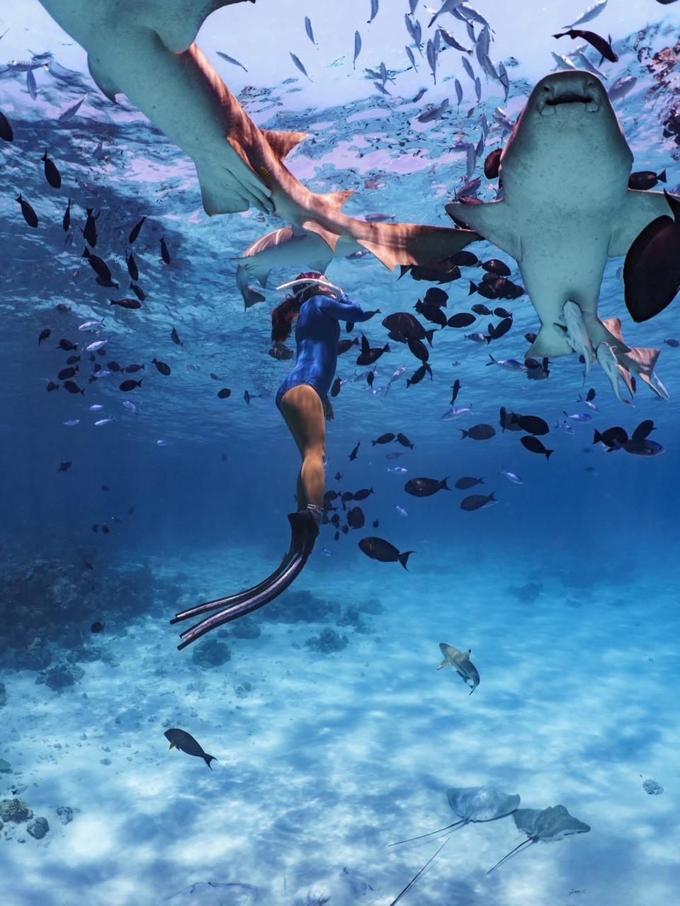 Ocean Breeze excursion in Rasdhoo Atoll