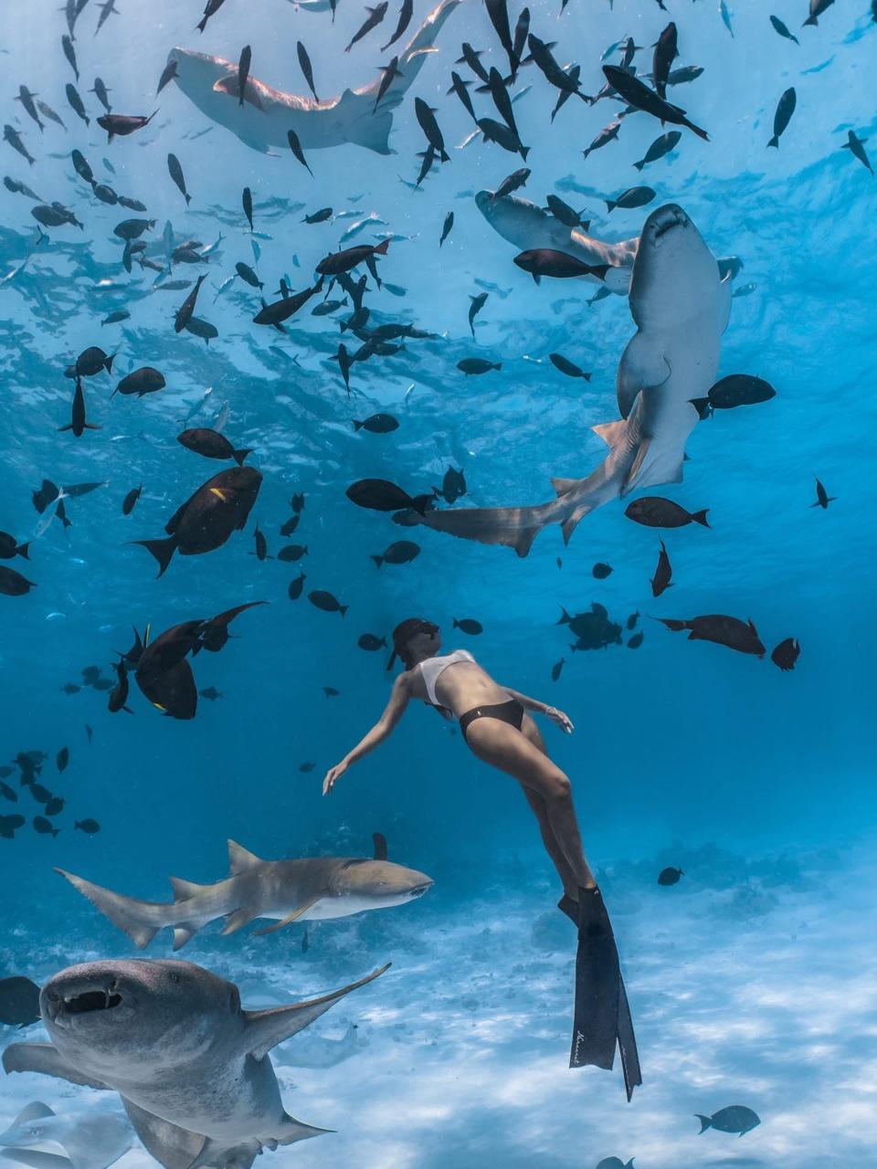 Ocean Breeze excursion in Rasdhoo Atoll