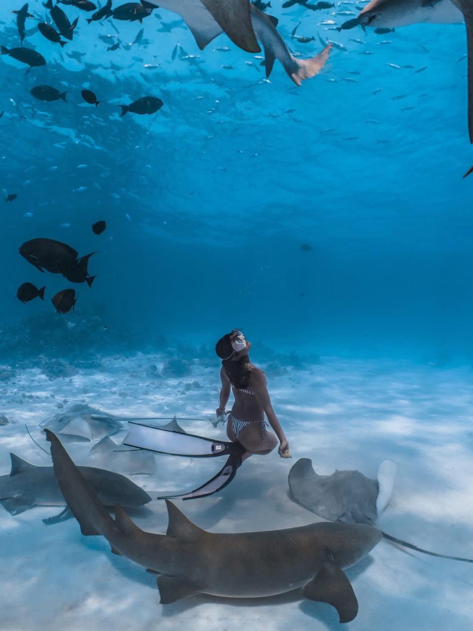 Ocean Breeze excursion in Rasdhoo Atoll