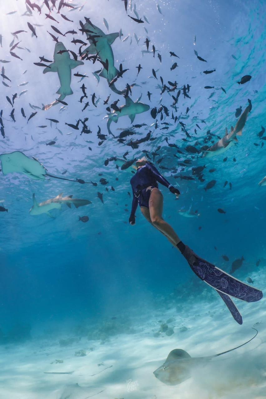 Ocean Breeze excursion in Rasdhoo Atoll