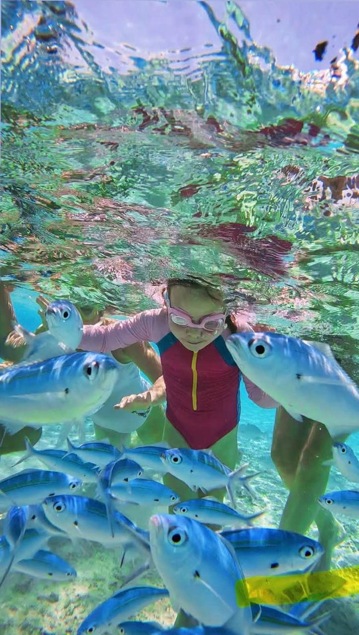 Fish feeding in the lagoon