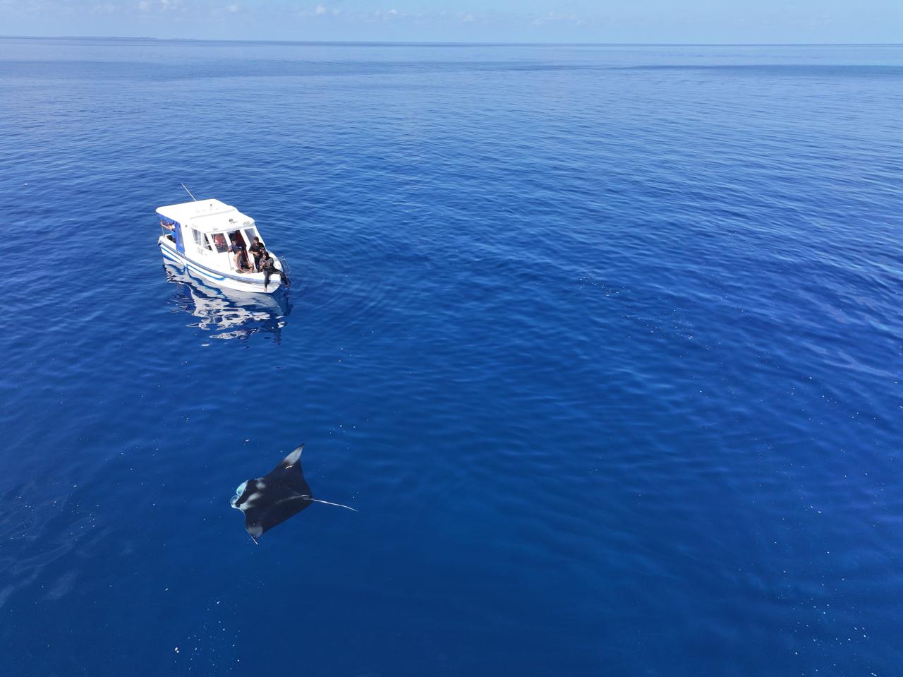Ocean Breeze excursion in Rasdhoo Atoll