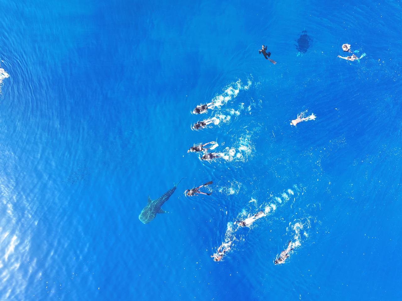 Ocean Breeze excursion in Rasdhoo Atoll
