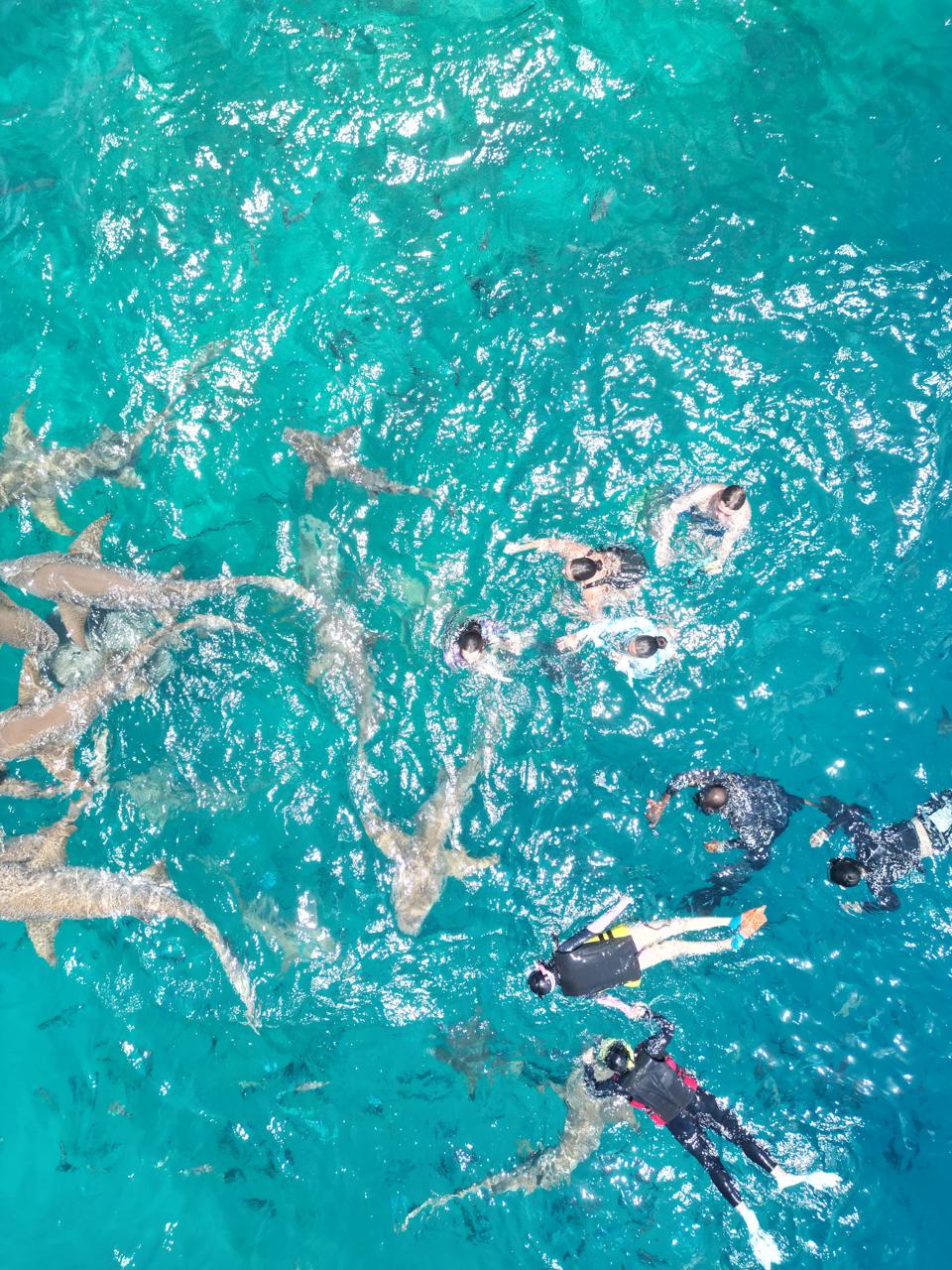 Ocean Breeze excursion in Rasdhoo Atoll
