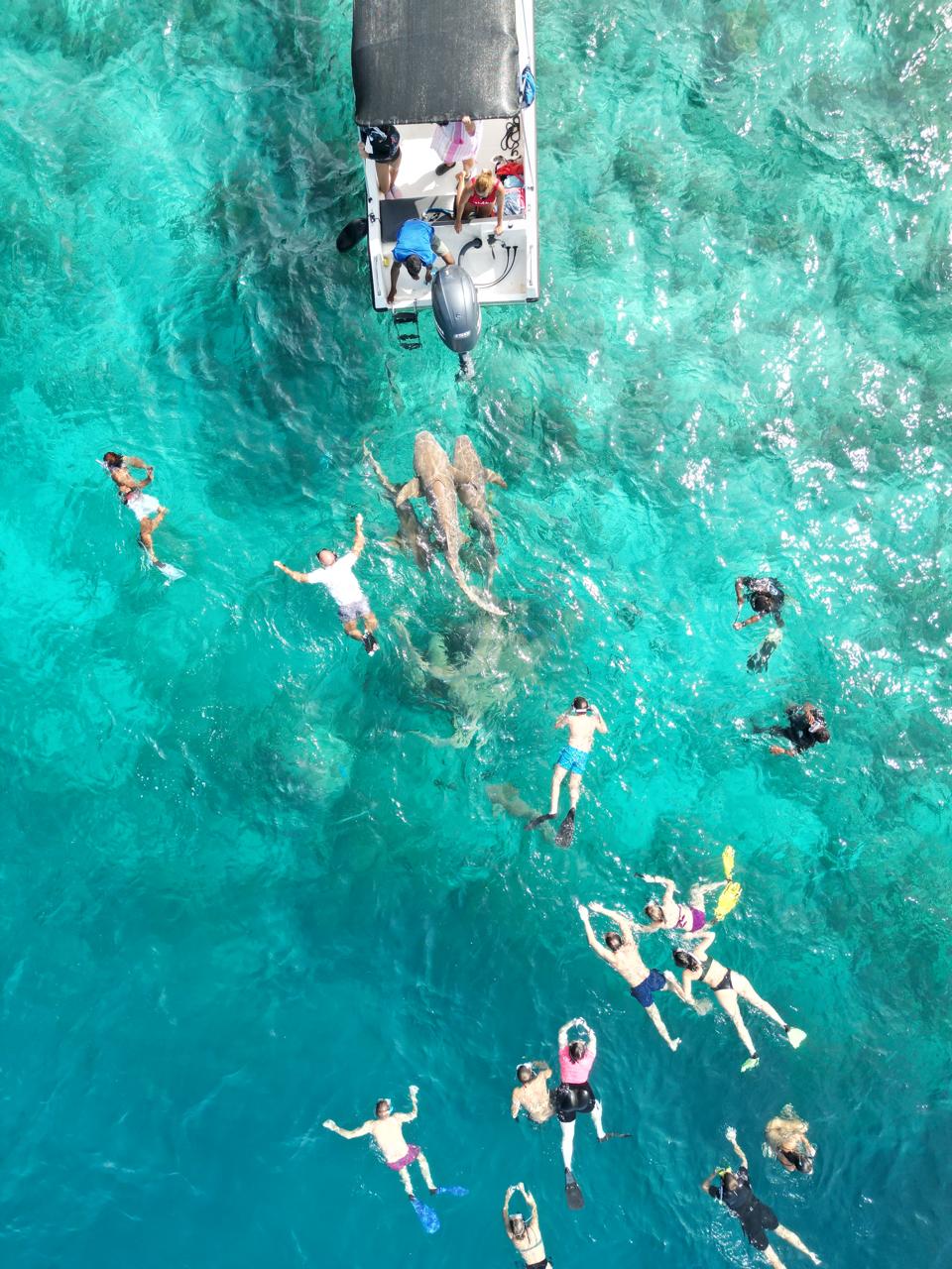 Ocean Breeze excursion in Rasdhoo Atoll