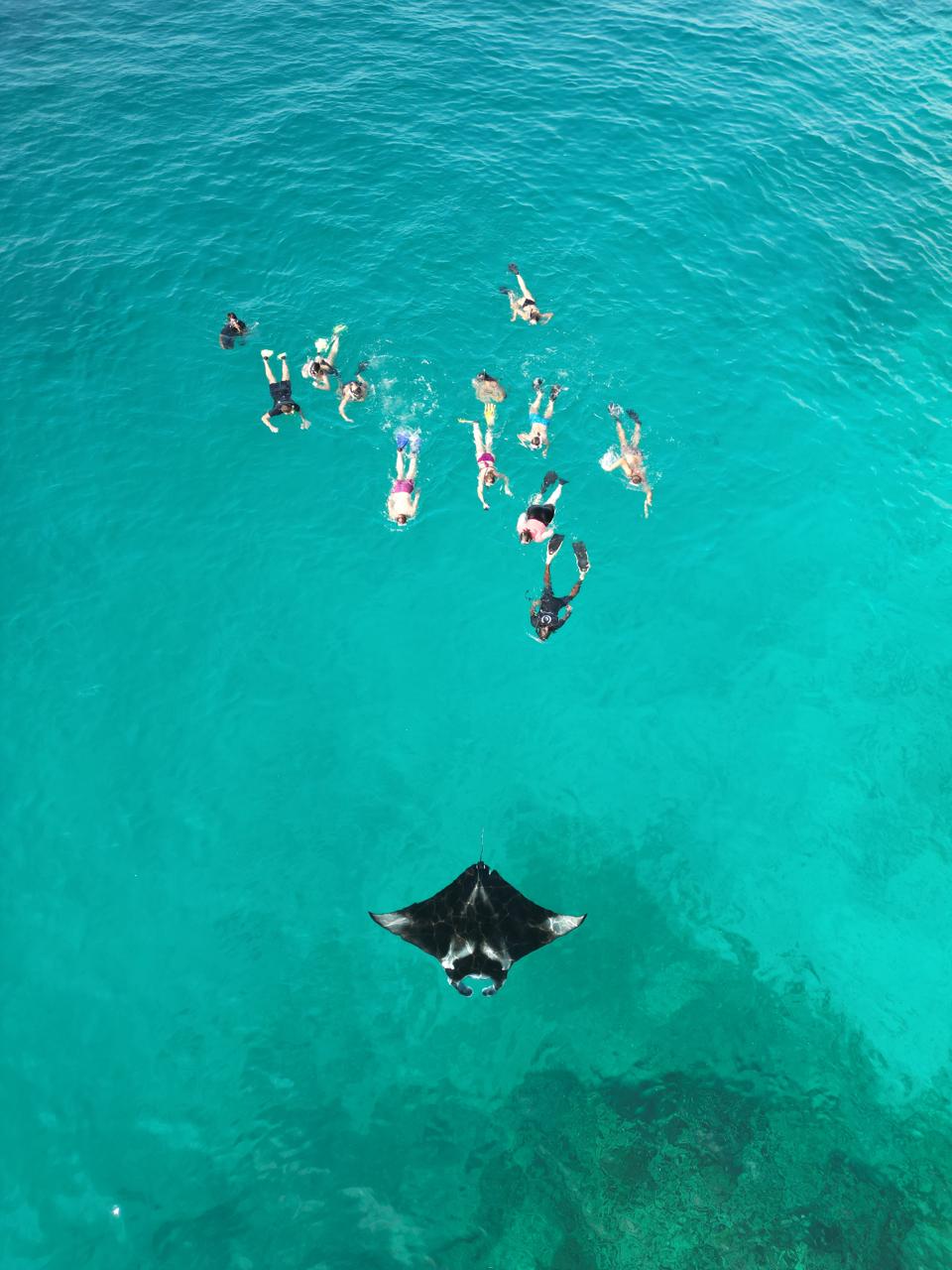 Ocean Breeze excursion in Rasdhoo Atoll
