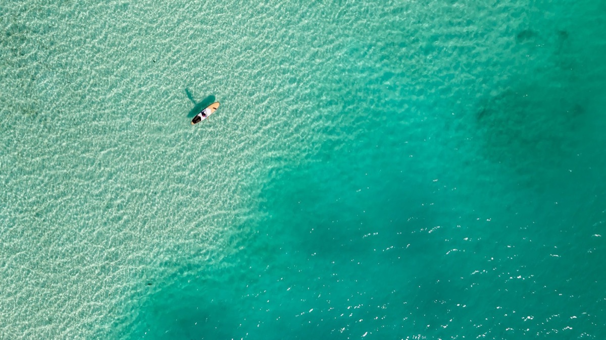SUP / Stand-Up Paddleboard
